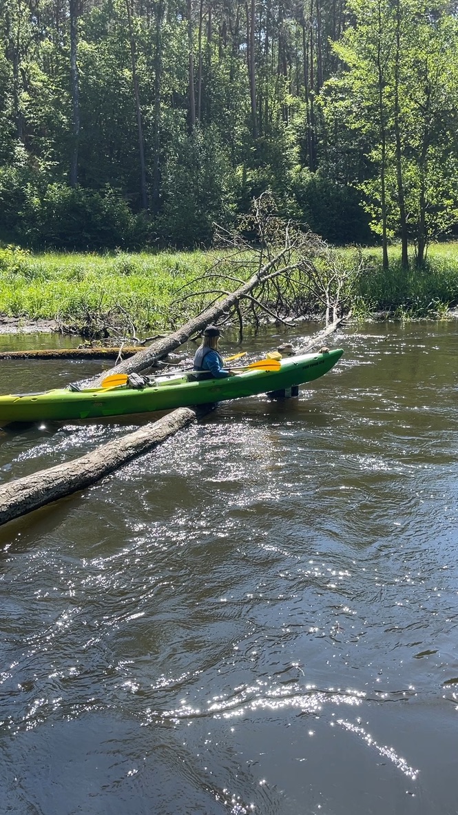 Kolincz – Klonówka - zdjęcie 4