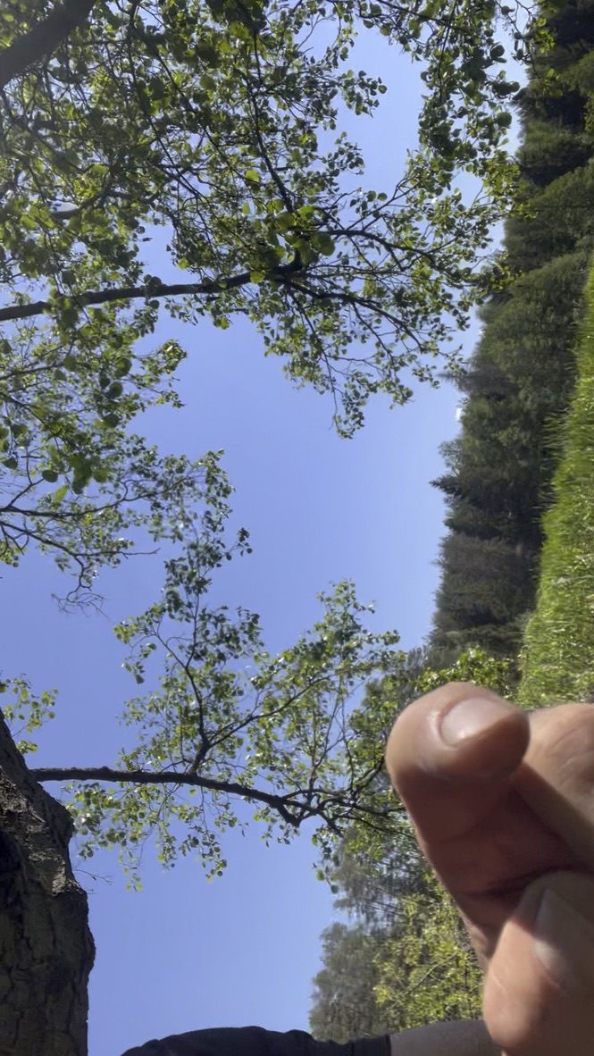 Czarna Woda – Czarne - zdjęcie 3